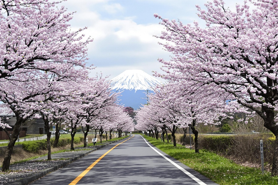 北海道の季節ごとのサイクリングコース